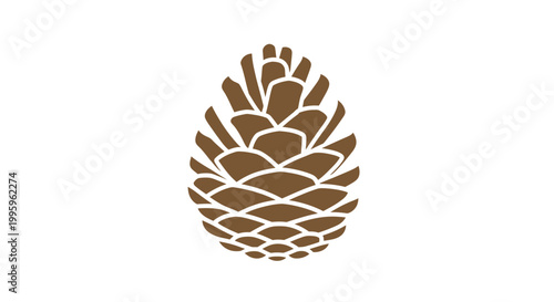 Brown Pine Cone Closeup View.