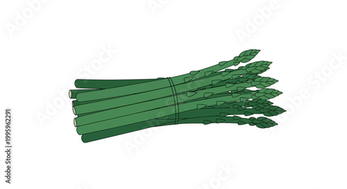 Bundle of green asparagus spears tied.