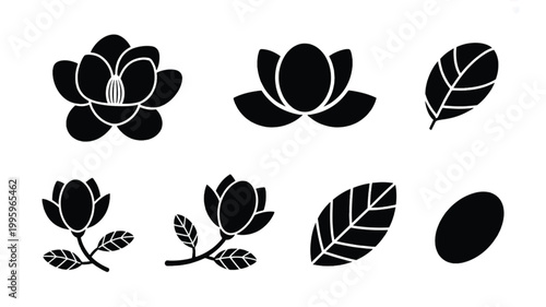 Eight black silhouettes of lotus flowers and leaves are depicted