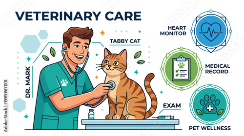 Veterinary Care Doctor Examining a Tabby Cat with Medical Equipment.