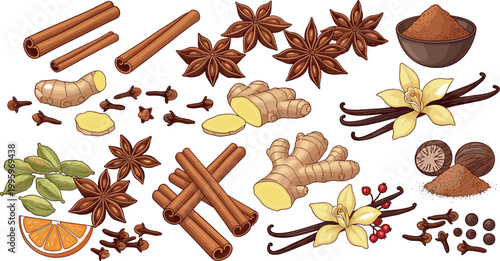 Spices collection set with cinnamon, ginger, vanilla, star anise and cloves, aromatic ingredients vector illustration isolated