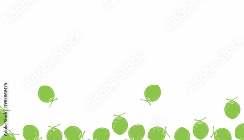 Coconut Background. Tropical Fruit Illustration. Fresh Green Botanical Background for Packaging Textile Design
