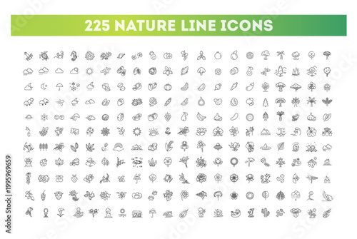 Big natural icon set