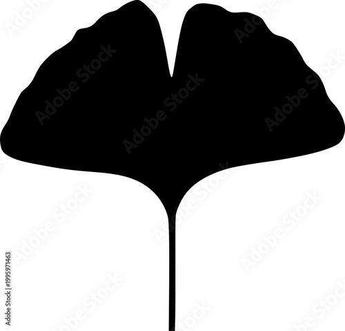 Ginkgo biloba leaf silhouette, black shadow, outline profile isolated on white background