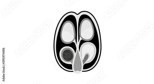 Abstract Biological Cross Section Illustration in Grayscale