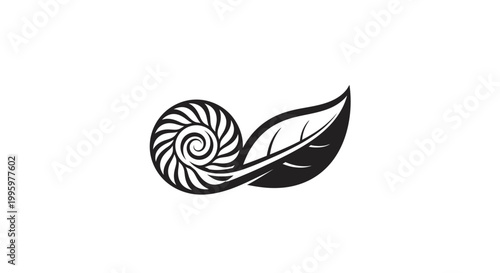 Black and white nautilus shell leaf.