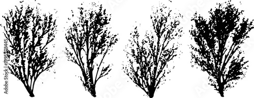 Black ink botanical branches silhouettes set, nature twig elements for design and decoration