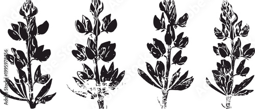 black botanical sketches of wildflowers with leaves and buds in vintage style, floral nature illustrations
