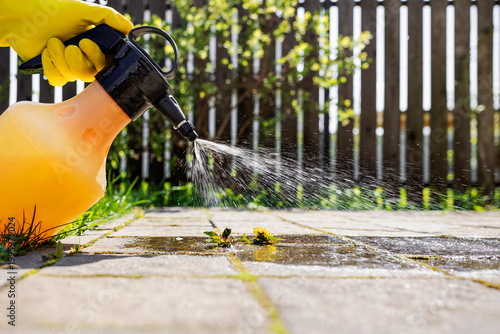 Weed Removal Spraying Weed for Paving Stones or Paving Slabs. Weed killer. Garden Maintenance. 