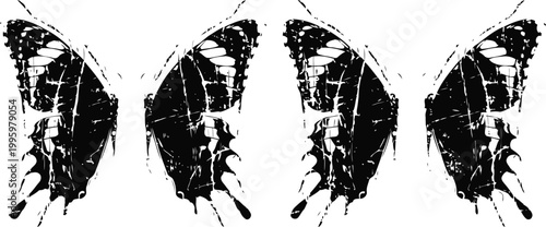 butterfly wing patterns in black and white, close up symmetrical insect designs
