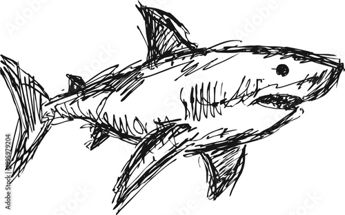 Sketch of a great white shark with rough black ink lines swimming underwater