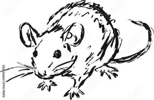 Sketch of a small mouse with detailed fur, whiskers, and tail, drawn in black ink strokes