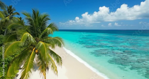 Tropical island beach with palm trees and turquoise ocean water view