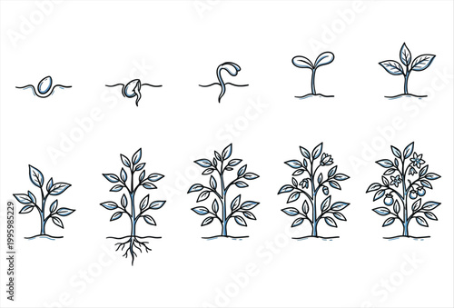 Plant Growing Icon Set – Hand Drawn Growth Nature Vector