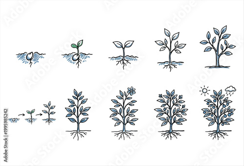 Plant Growing Icon Set – Hand Drawn Growth Nature Vector