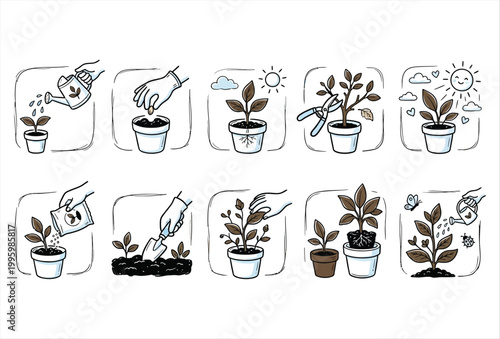 Plant Growing Icon Set – Hand Drawn Growth Nature Vector