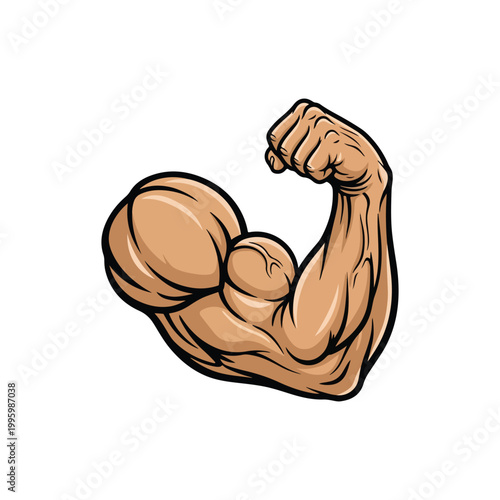 Muscle arms strong bicep clipart on white background