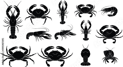 Black silhouettes of various crustaceans, including crabs and lobsters shrimps