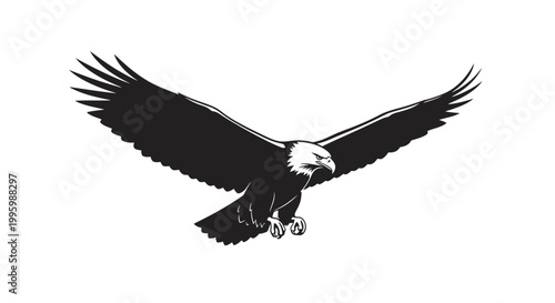 American Bald Eagle in Flight.