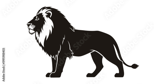 Black lion standing in profile view.