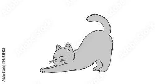 Cat stretching on floor down dog.