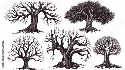 Stylized illustrations of various trees, showcasing their trunks and branches, in a monochromatic design