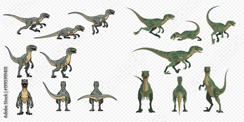 Set of cartoon velociraptor dinosaurs in various poses isolated on a transparent background, prehistoric animal vector illustration.