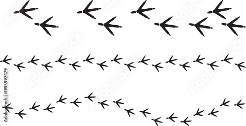 Three distinct rows of black bird footprints showing directional movement across a white background