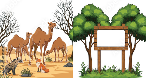 Desert camels wildlife scene and forest wooden signboard illustration set, nature landscape with animals and blank board vector design collection