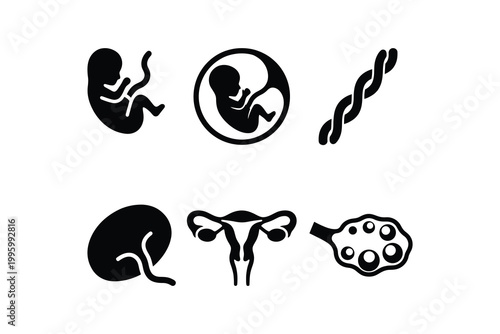 Pregnancy and Fetal Development Glyph Icon Set - Gynecology and Obstetrics Vector Silhouette Icon Pack