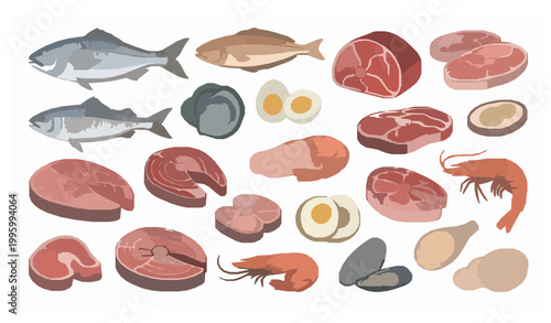 Protein rich foods vector illustration fish meat eggs seafood healthy diet concept