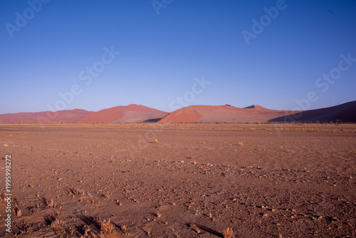 A solitary Acacia tree standing against the vast landscape of Namibia, its flat canopy silhouetted under the open sky of the African savanna.