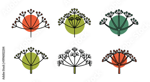 Dill Weed Line art vector set modern bold abstract artwork illustration
