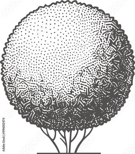 People enjoy Nature scene