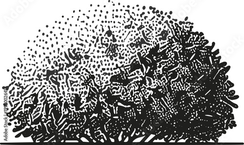 Flock of Birds Take Flight
