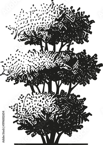 Tree illustration