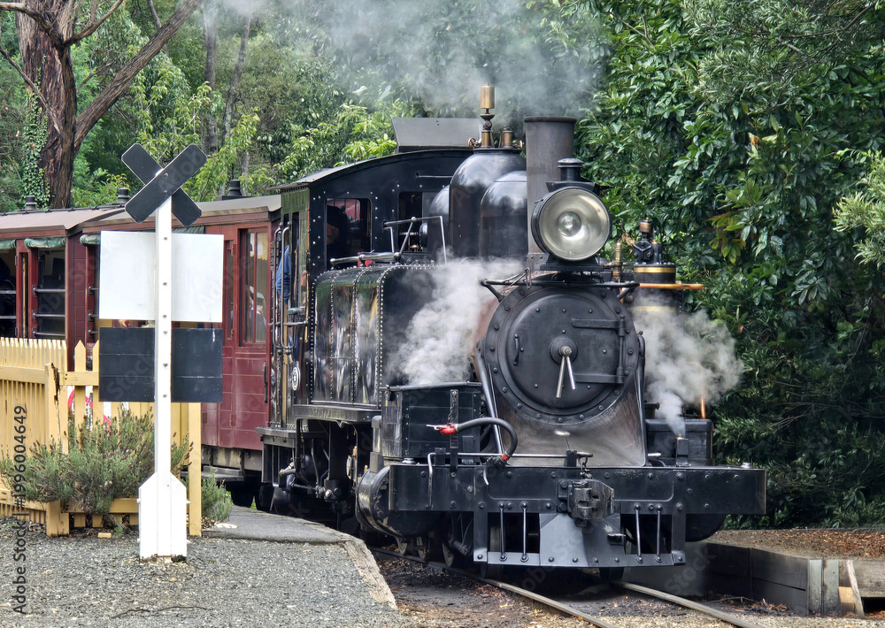 Fototapeta premium Vintage steam locomotive emitting smoke as it travels through lush green forest scenery