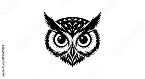 Detailed illustration of an owl face.