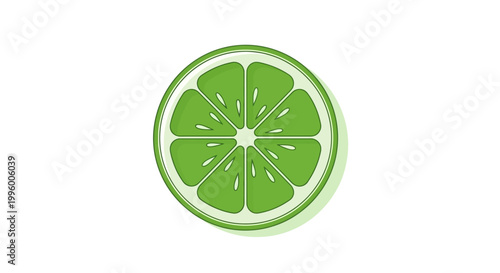 Fresh Green Lime Fruit Slice Closeup.