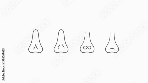 Four line art illustrations of noses, each with a different shape and style, on a white background