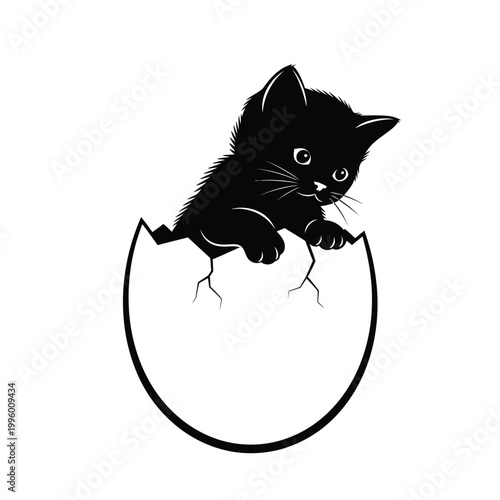 Black cat emerging from eggshell.