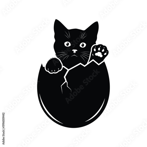 Black Cat Emerging from Eggshell 1.