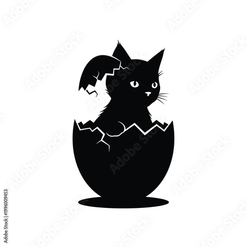 Black cat hatching from egg 1.