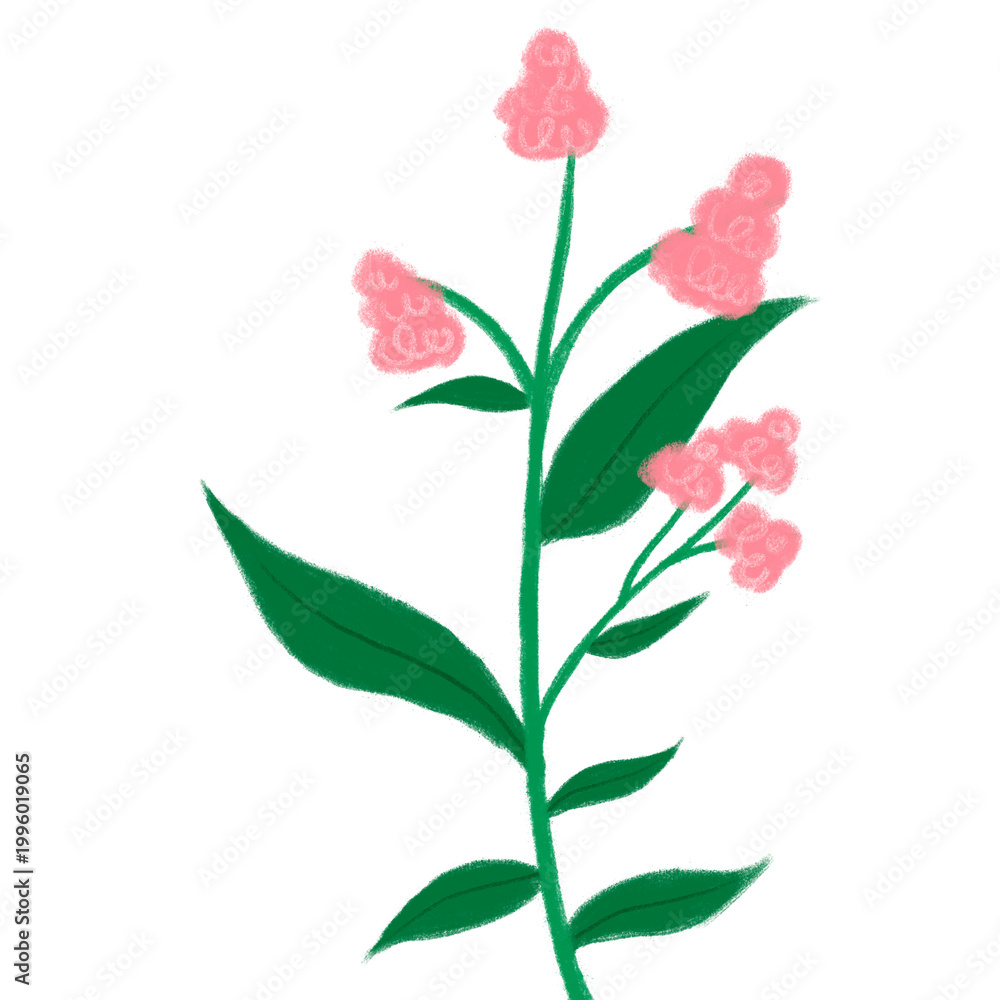Fototapeta premium Pink leafy stem clipart isolated on white
