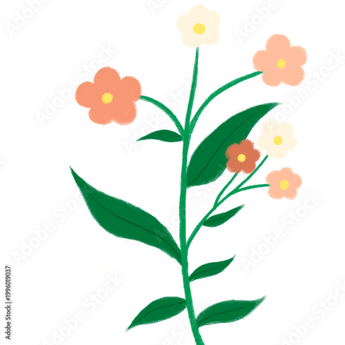Peach flower branch clipart isolated on white