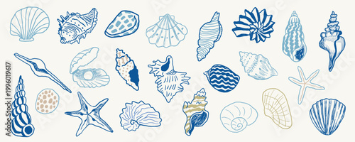 seashell set in hand drawn style in vector. Element for design advertisement mail posts poster print postcard banner decor backgrounds