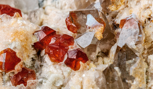 Bild auf Leinwand Natural Spessartine Garnet Crystals in Matrix Isolated on White