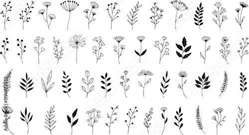 Set of hand drawn plants, leaves, flowers. Silhouettes of natural elements for seasonal backgrounds, templates, wallpaper, cards, banners. set featuring a variety of delicate wild plants, herbs, leave