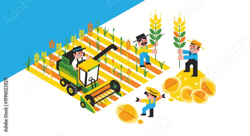 Farmers harvesting wheat in a field with a tractor and collecting golden wheat sheaves