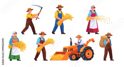 Farmers harvesting wheat with a tractor in a field on a sunny day